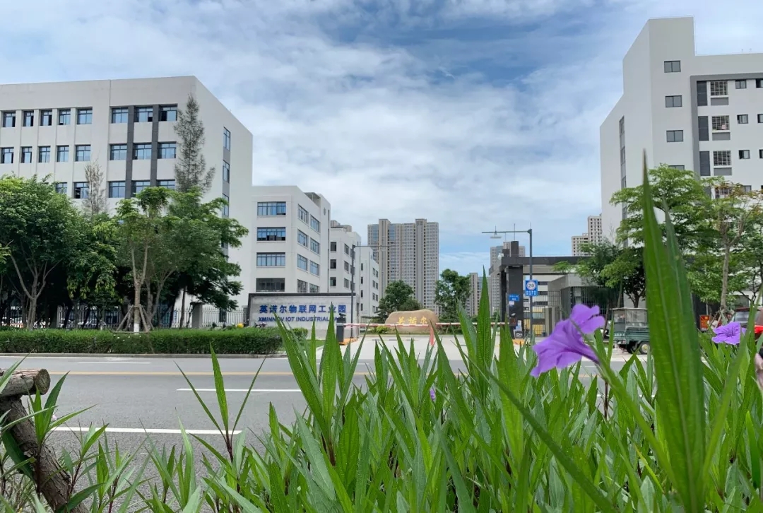 1712642849480893.jpg 640.webp.jpg